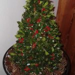 DSC01111-scaled